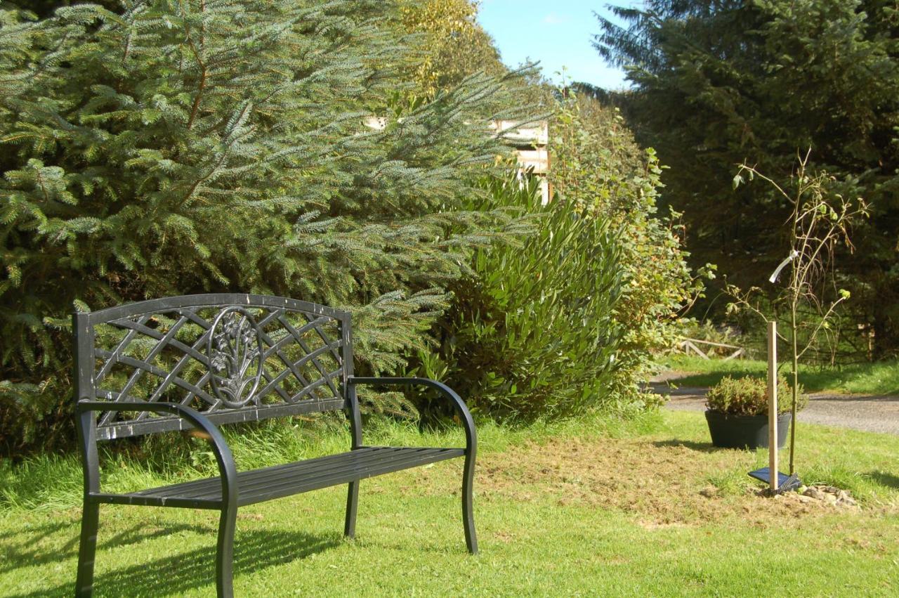 Lodge Cosy & Compact Rowan No2 *