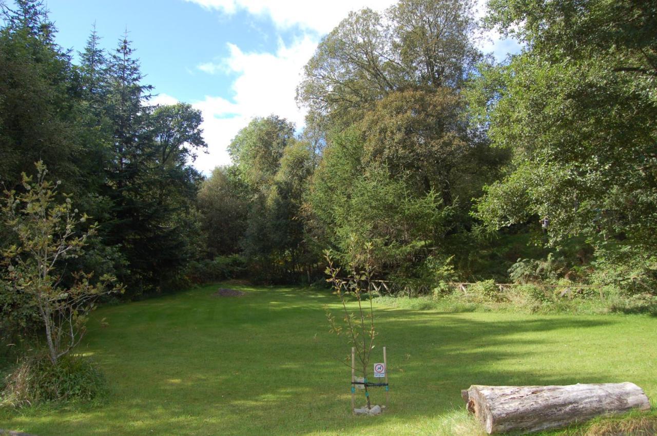 Lodge Cosy & Compact Rowan No2 *